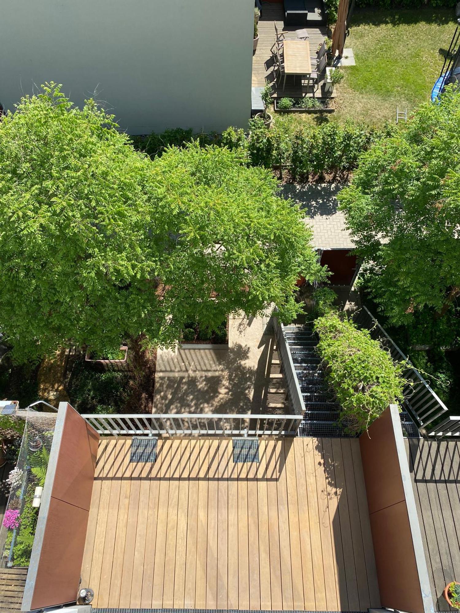 Townhouse Alaunpark Villa Dresden Ngoại thất bức ảnh